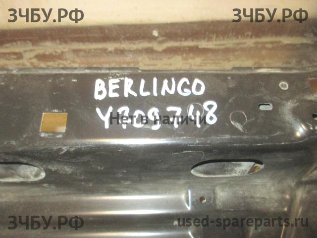 Citroen Berlingo 1 (M59) Рестайлинг Панель передняя (телевизор)