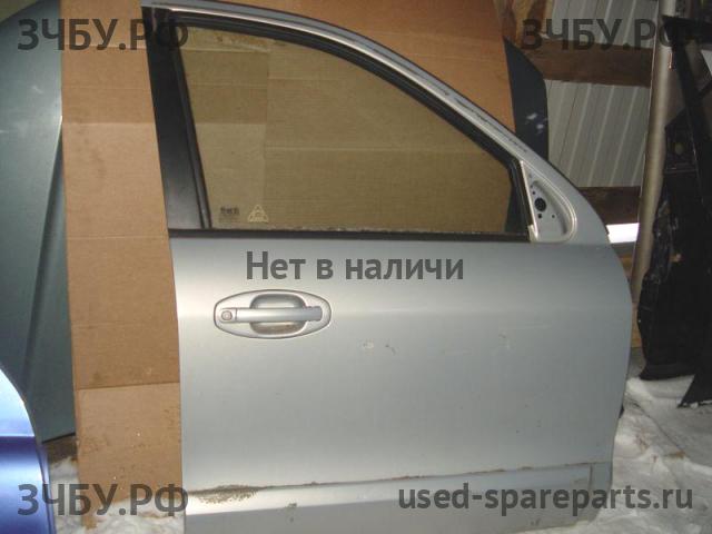 Hyundai Santa Fe 1 (SM) Ручка двери
