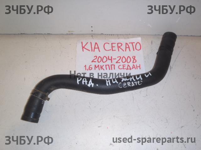 KIA Cerato 1 Патрубок радиатора