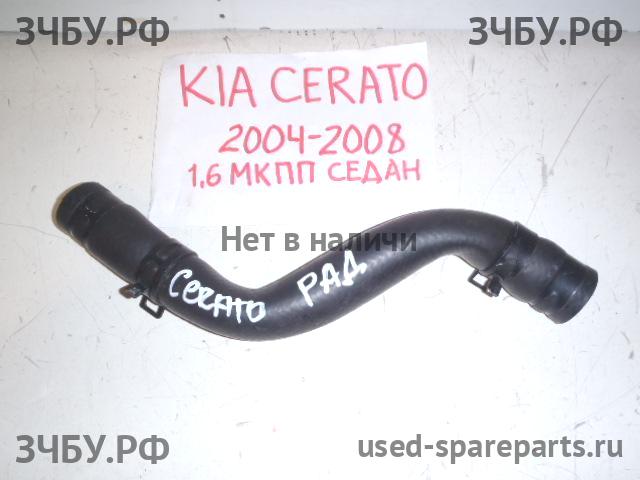 KIA Cerato 1 Патрубок радиатора