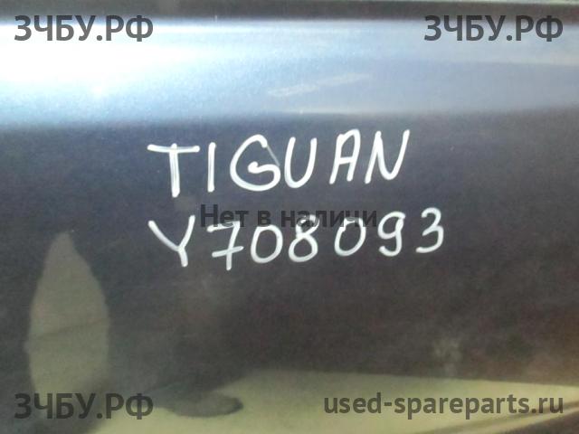 Volkswagen Tiguan 1 (Рестайлинг) Дверь передняя правая
